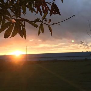 Meet your Posher, Miranda