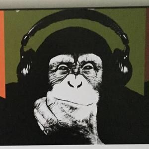 Meet your Posher, Camren