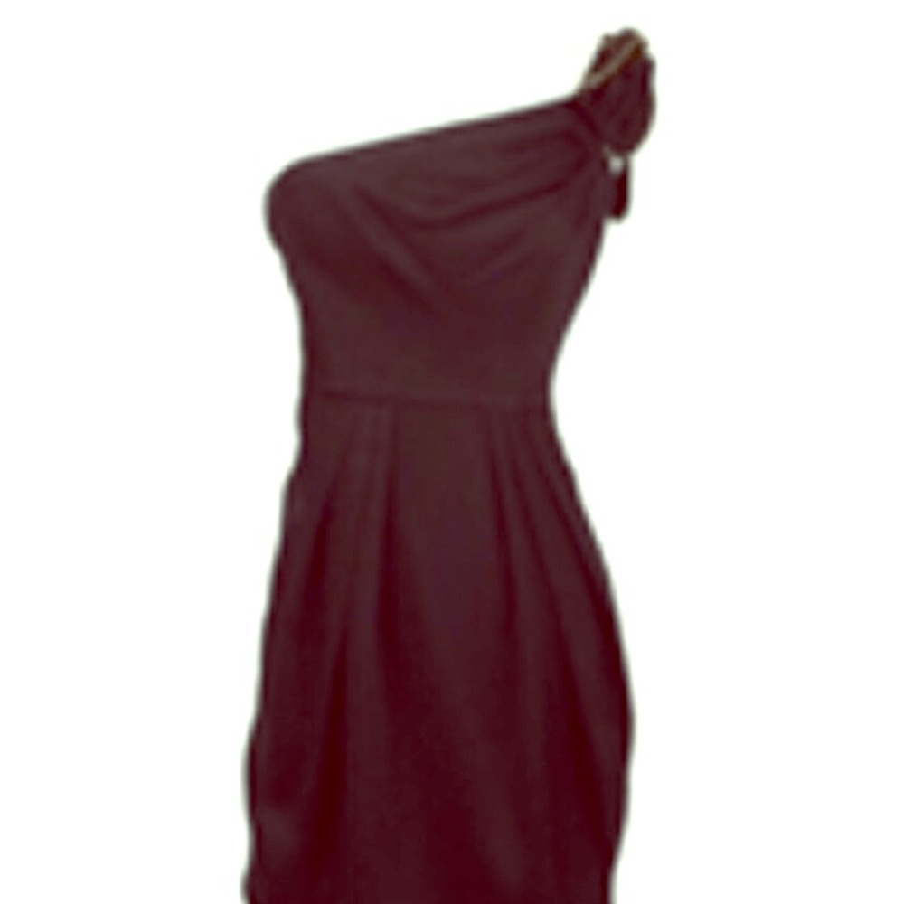 BCBG MaxAzria Asymmetrical dress