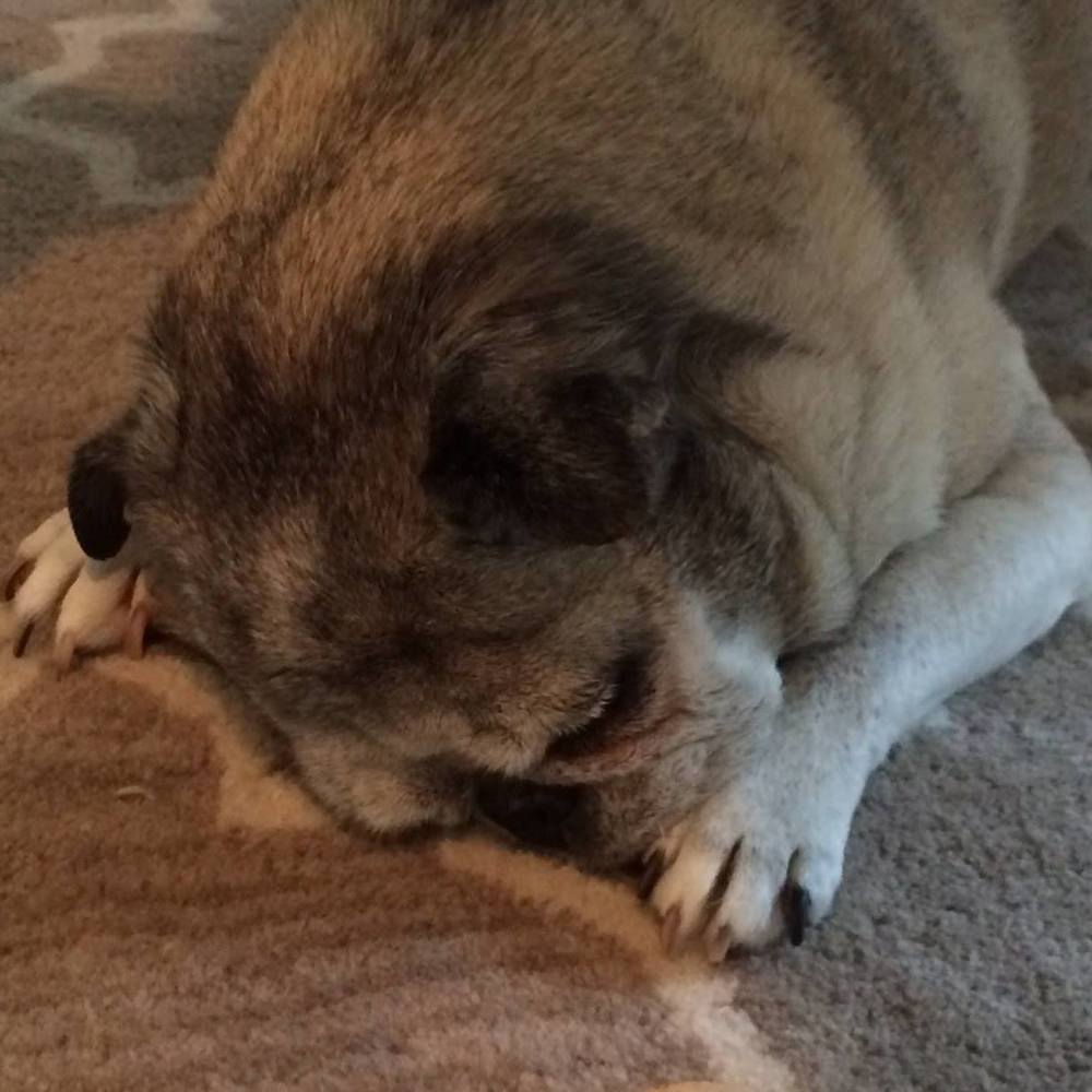 Meet your Posher, Alexandra