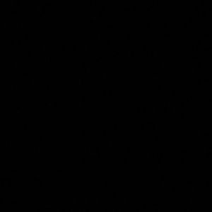 Meet your Posher, Leandro