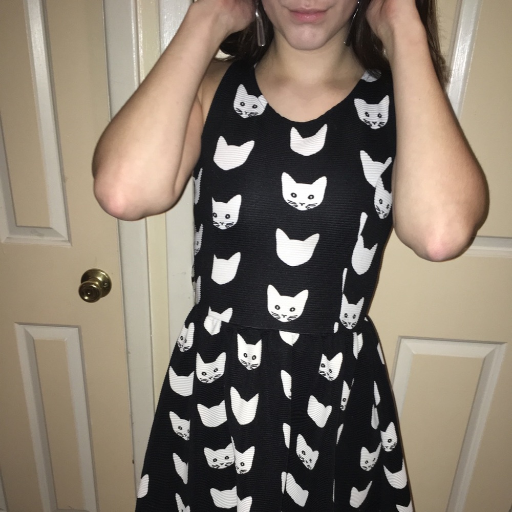 Cat Lovers Skater Dress