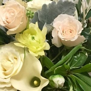 Meet your Posher, Jasmin