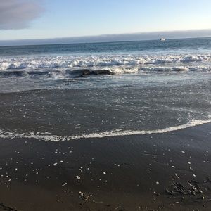 Meet your Posher, Isela