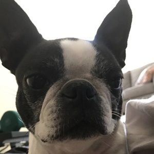 Meet your Posher, Anthony