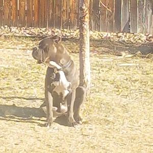 Meet your Posher, Darnell