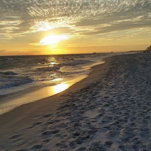 Meet your Posher, Christy