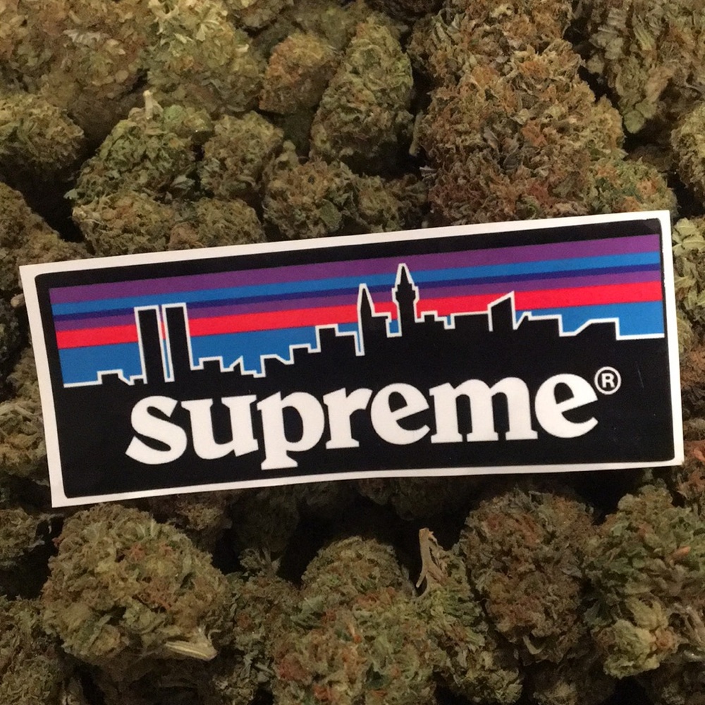Supreme Patagonia logo sticker