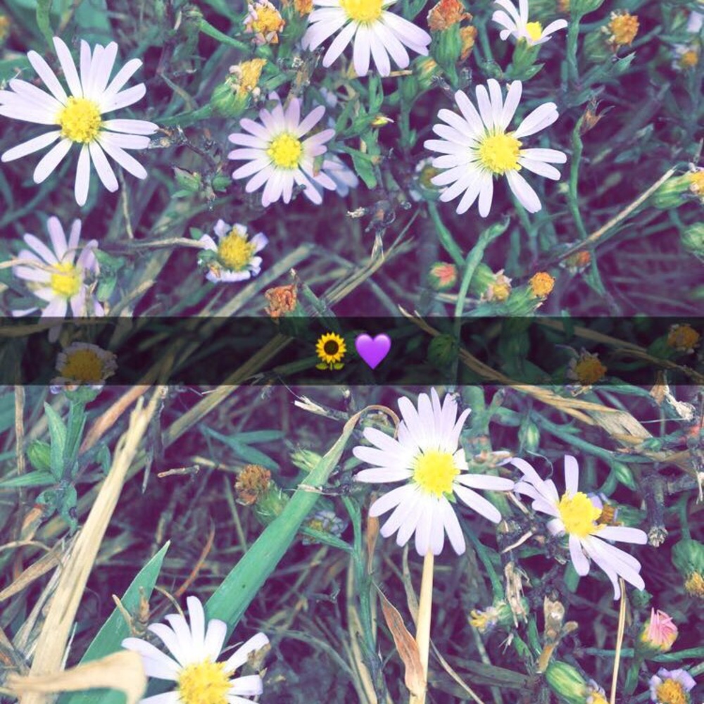 Meet your Posher, Kaitlyn