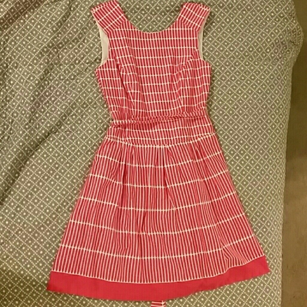 Pink lined Dressbarn dress