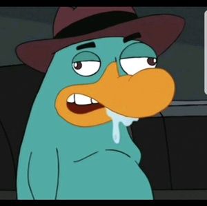 Meet your Posher, Craig