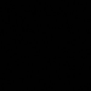 Meet your Posher, Rayna