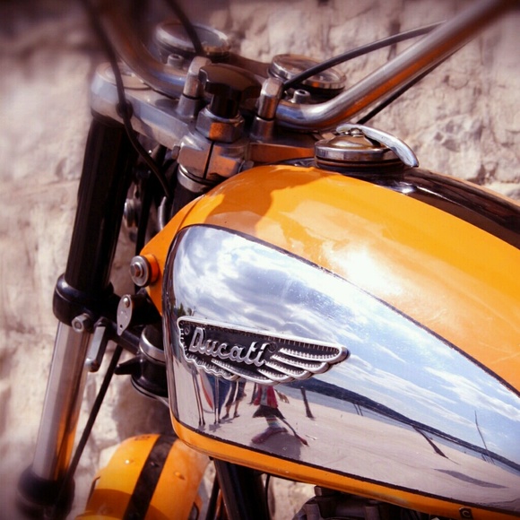 Meet your Posher, Blessing - Picture 1 of 1