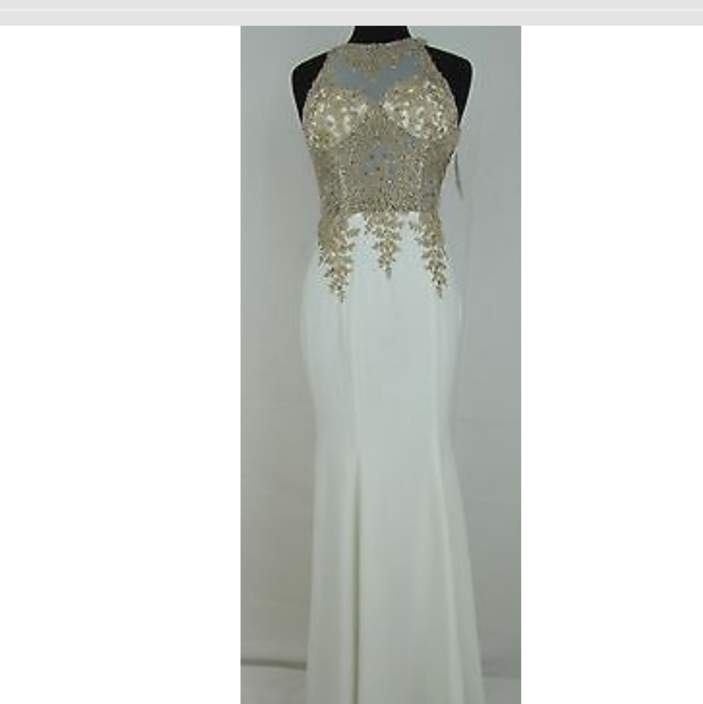 Mermaid lace mesh top gown.