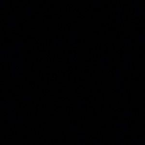 Meet your Posher, Jazzy