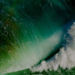 Meet your Posher, Janelle