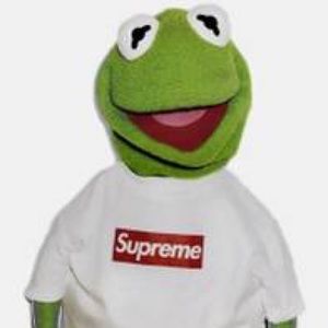 Meet your Posher, Isabella