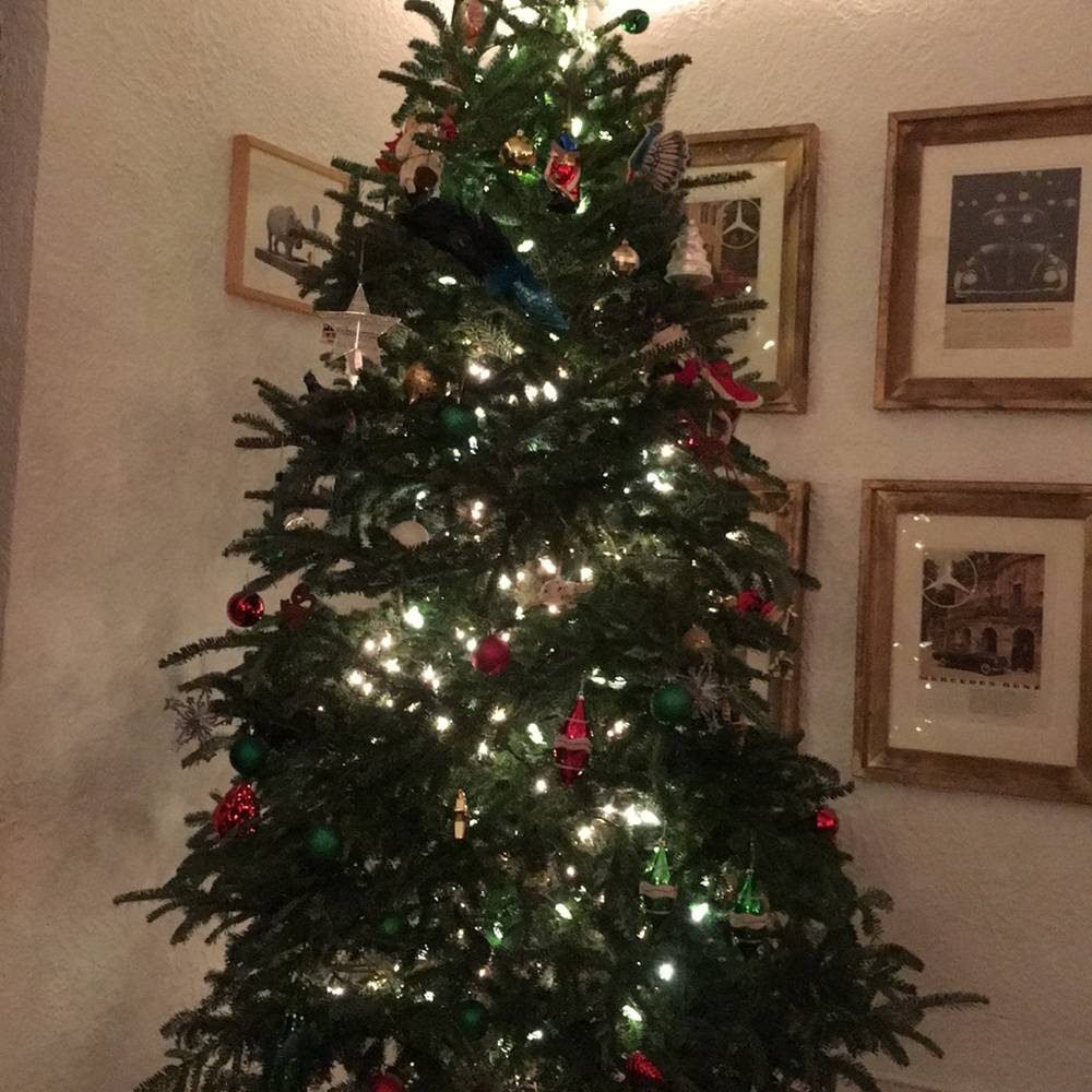 Meet your Posher, Marisha