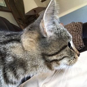 Meet your Posher, Ryan