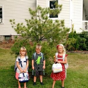 Meet your Posher, Ann