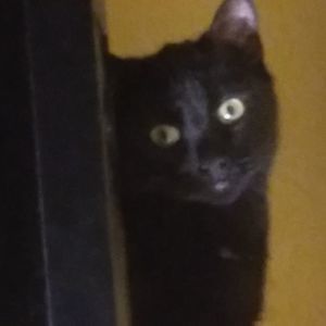 Meet your Posher, Gary