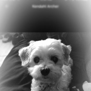 Meet your Posher, Kendahl