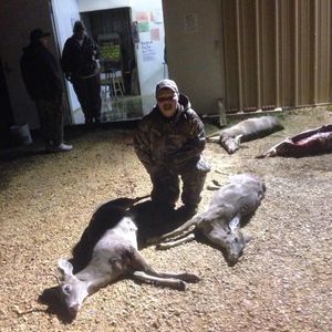 Meet your Posher, Hayden