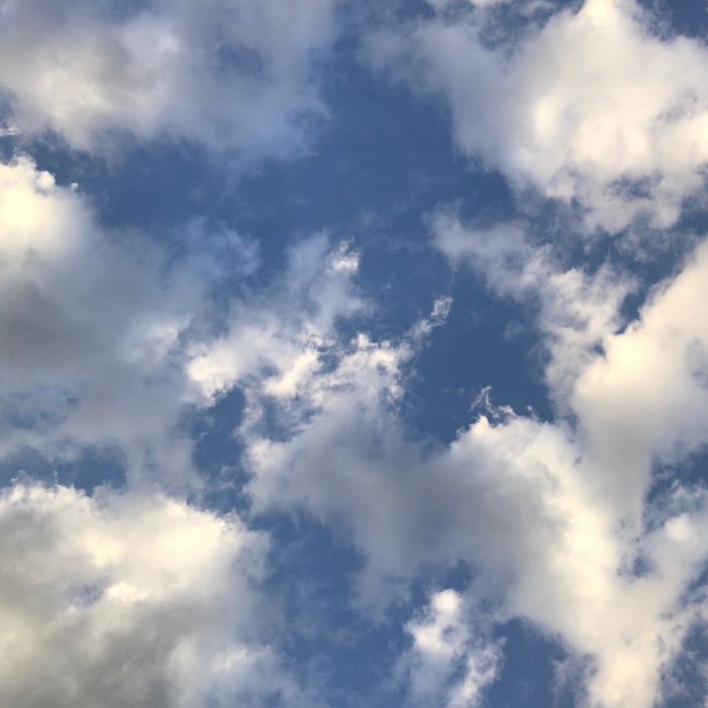 Meet your Posher, Tamala