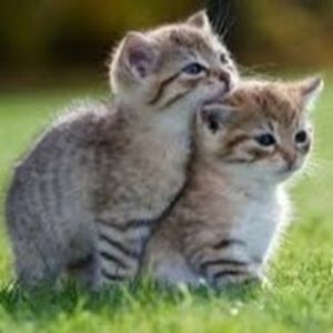 Meet your Posher, Caleb