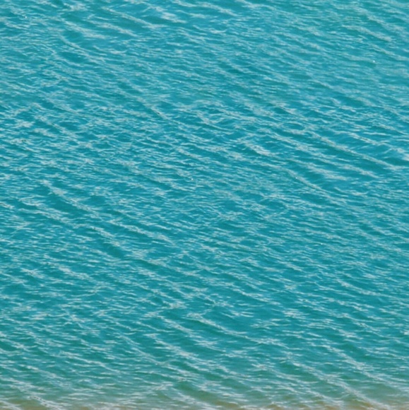 Meet your Posher, Patricia - Picture 1 of 1