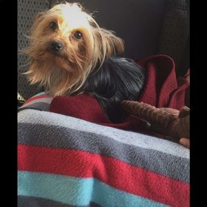 Meet your Posher, Eylin