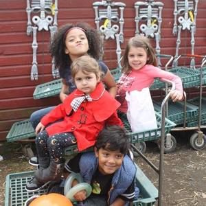 Meet your Posher, Arlene