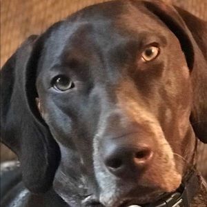 Meet your Posher, Jane