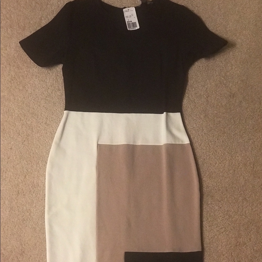 Women’s fitted dress