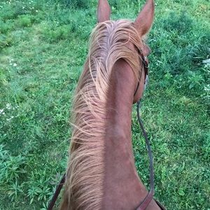 Meet your Posher, Erin