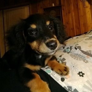 Meet your Posher, Jean