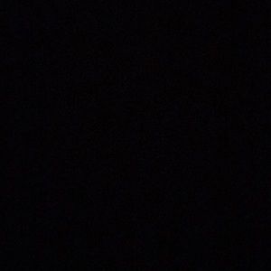 Meet your Posher, Bee