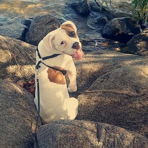 Meet your Posher, Kayla