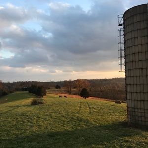 Meet your Posher, Hank