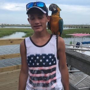 Meet your Posher, Brady