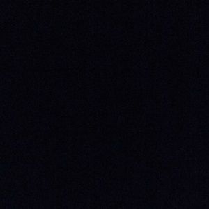 Meet your Posher, Bee