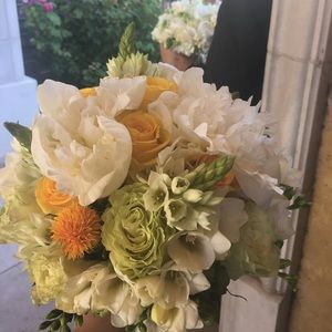 Meet your Posher, Tram