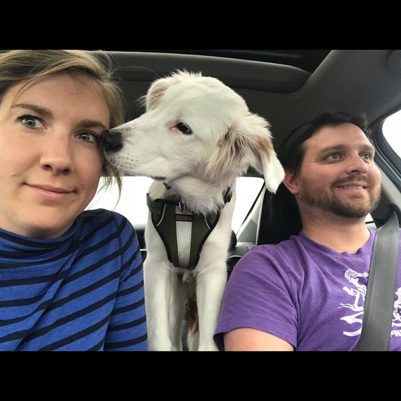 Meet your Posher, Caroline - Picture 1 of 1