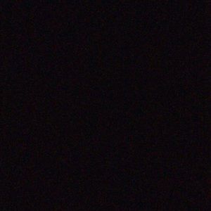 Meet your Posher, Ty