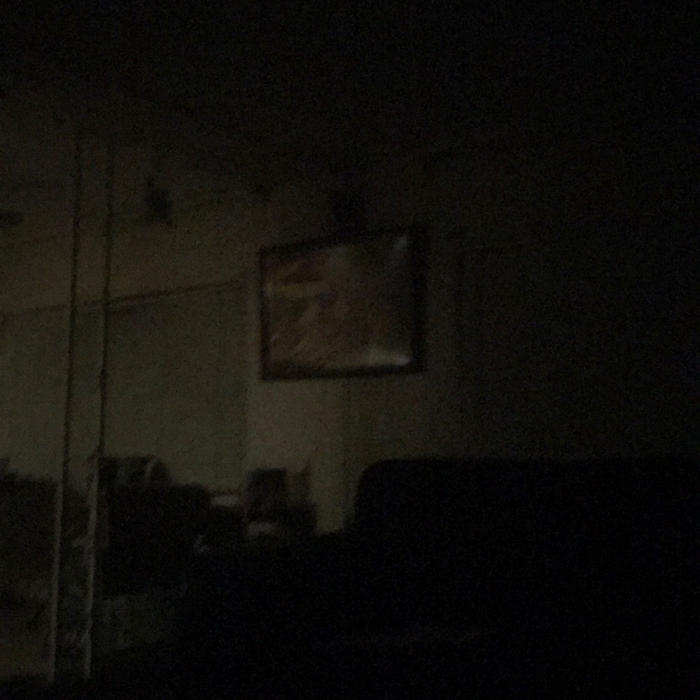 Meet your Posher, Pedro