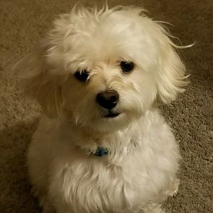 Meet your Posher, Tammy