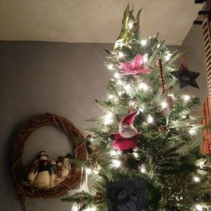 Meet your Posher, Allie