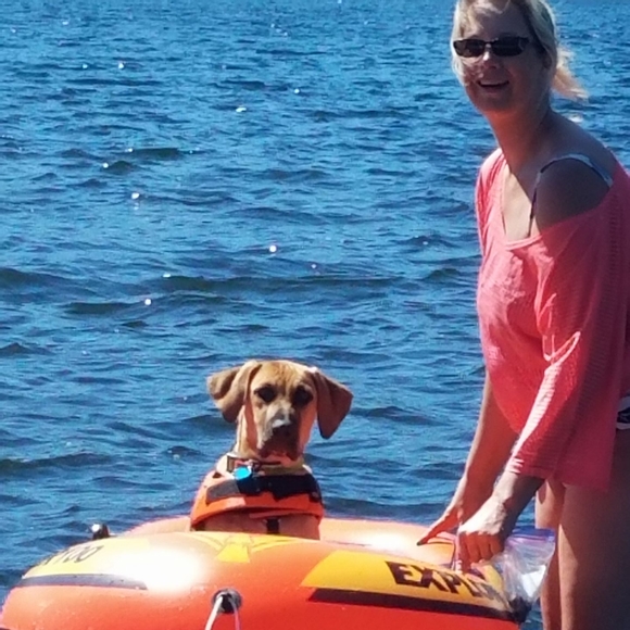 Meet your Posher, Darcy - Picture 1 of 1