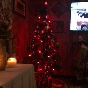 Meet your Posher, Isaura