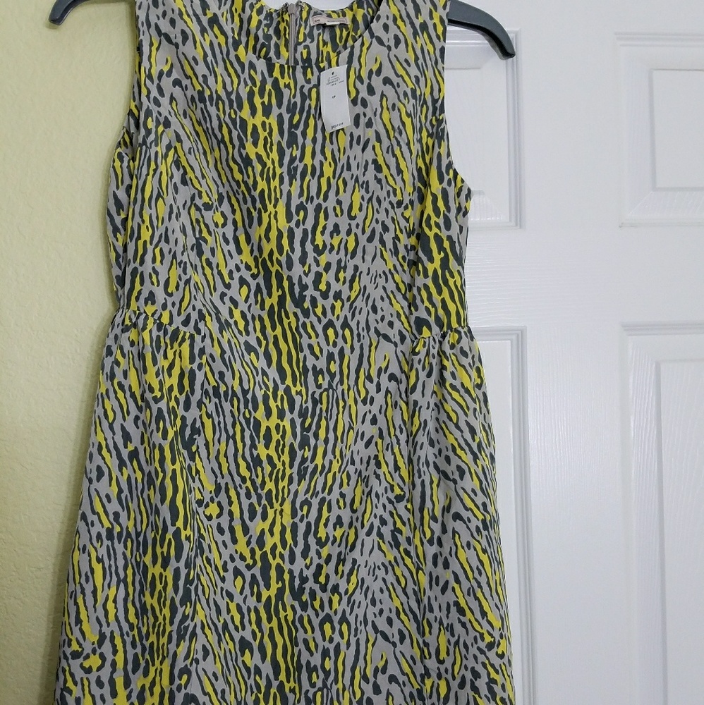 gap bnwt 6 petite leopard print dress